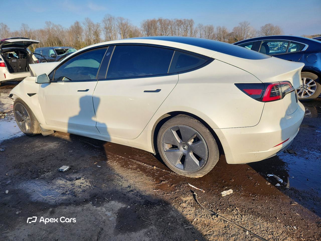 Tesla Model 3 2022