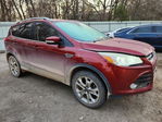 Ford Escape 2014