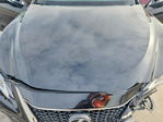 Lexus ES 2019