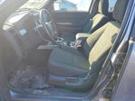 Ford Escape 2010