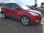 Ford Escape 2016