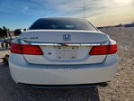 Honda Accord 2013