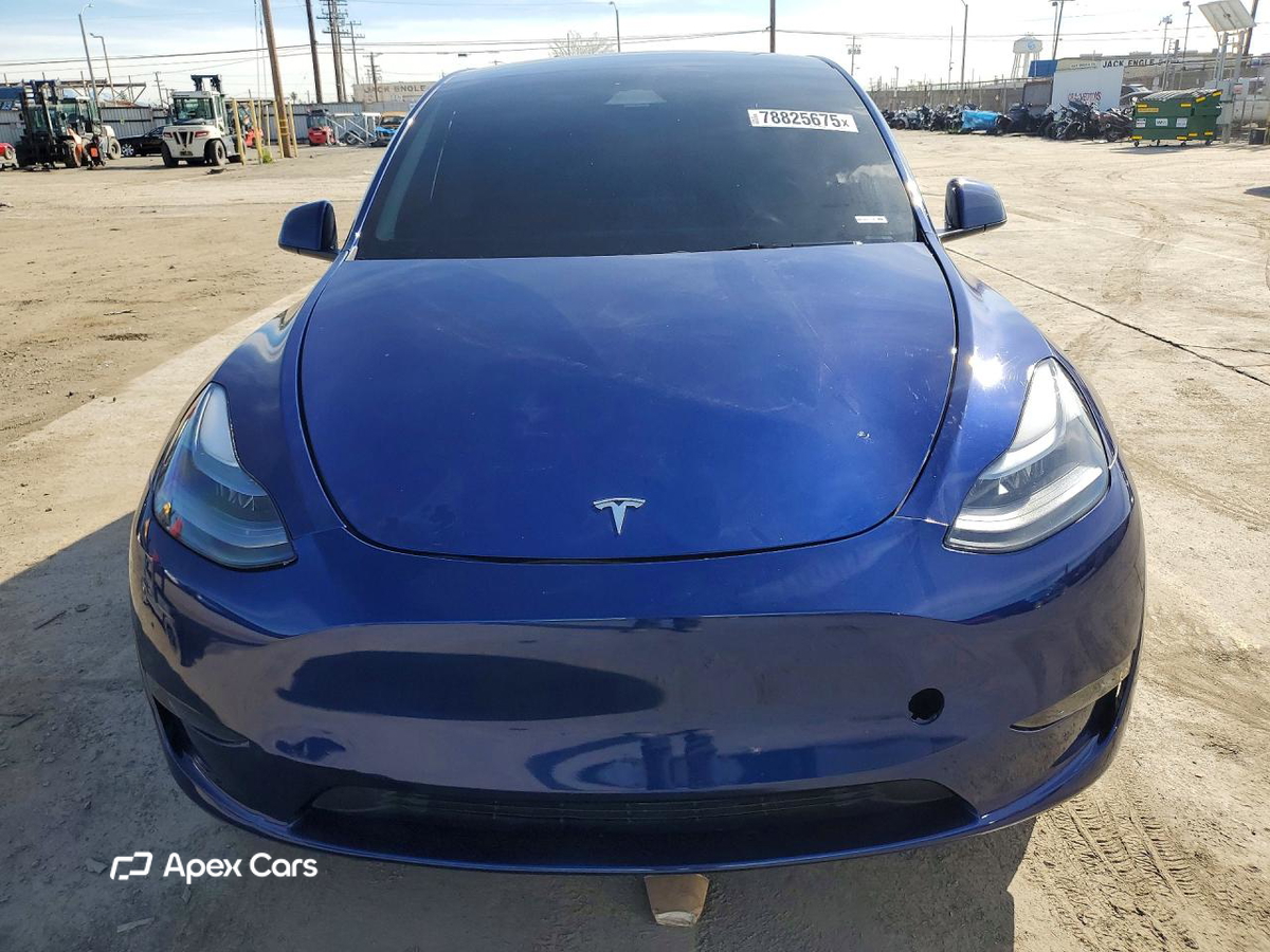 Tesla Model Y 2025