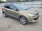 Ford Escape 2013