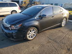Lexus HS 2010
