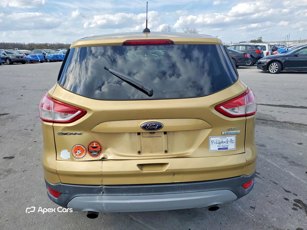 Ford Escape 2014