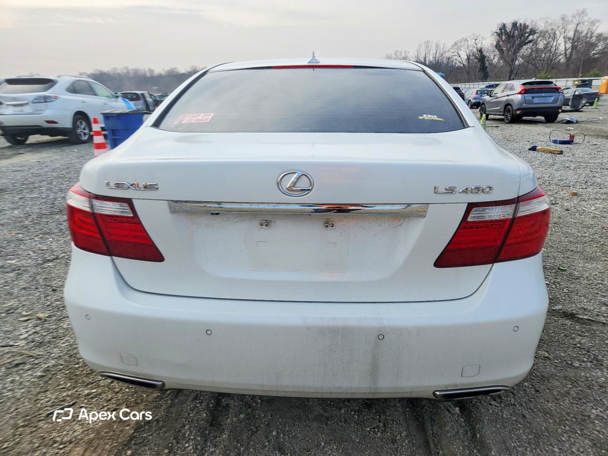 Lexus LS 2008