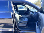 Audi Q8 2021