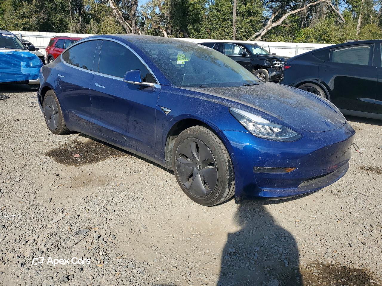 Tesla Model 3 2019