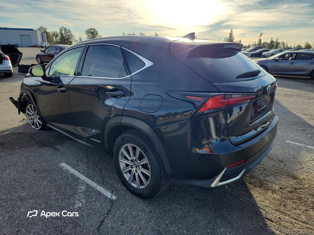Lexus NX 2019