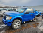 Ford F-150 2010