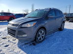 Ford Escape 2013