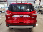 Ford Escape 2016