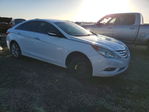 Hyundai Sonata 2011
