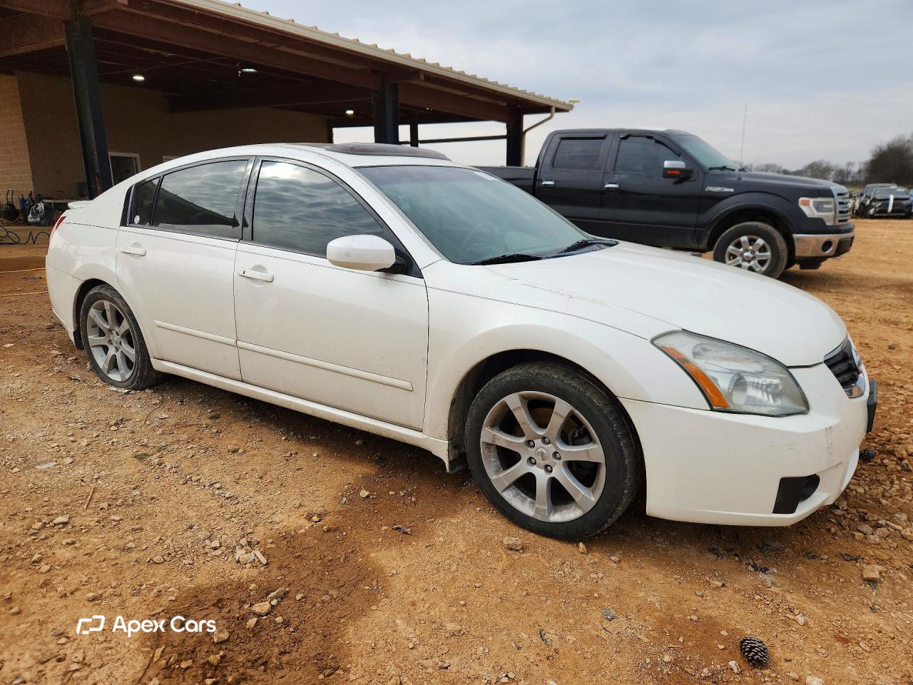 Nissan Maxima 2007