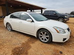 Nissan Maxima 2007