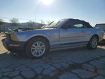 Ford Mustang 2007