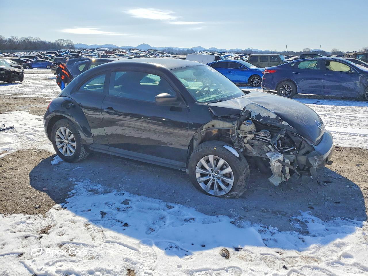 Volkswagen Beetle 2014