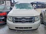 Ford Escape 2012
