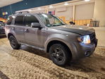 Ford Escape 2011