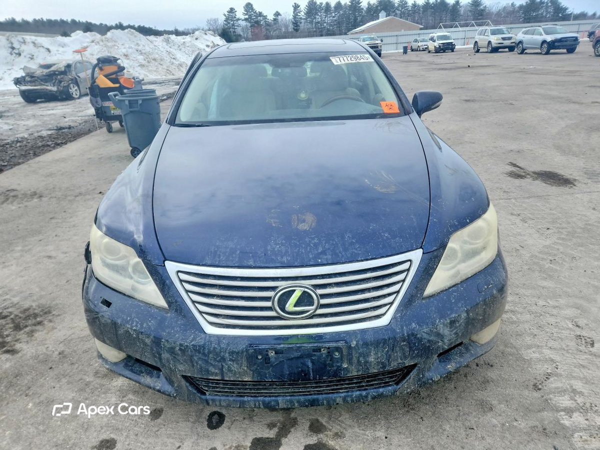 Lexus LS 2010