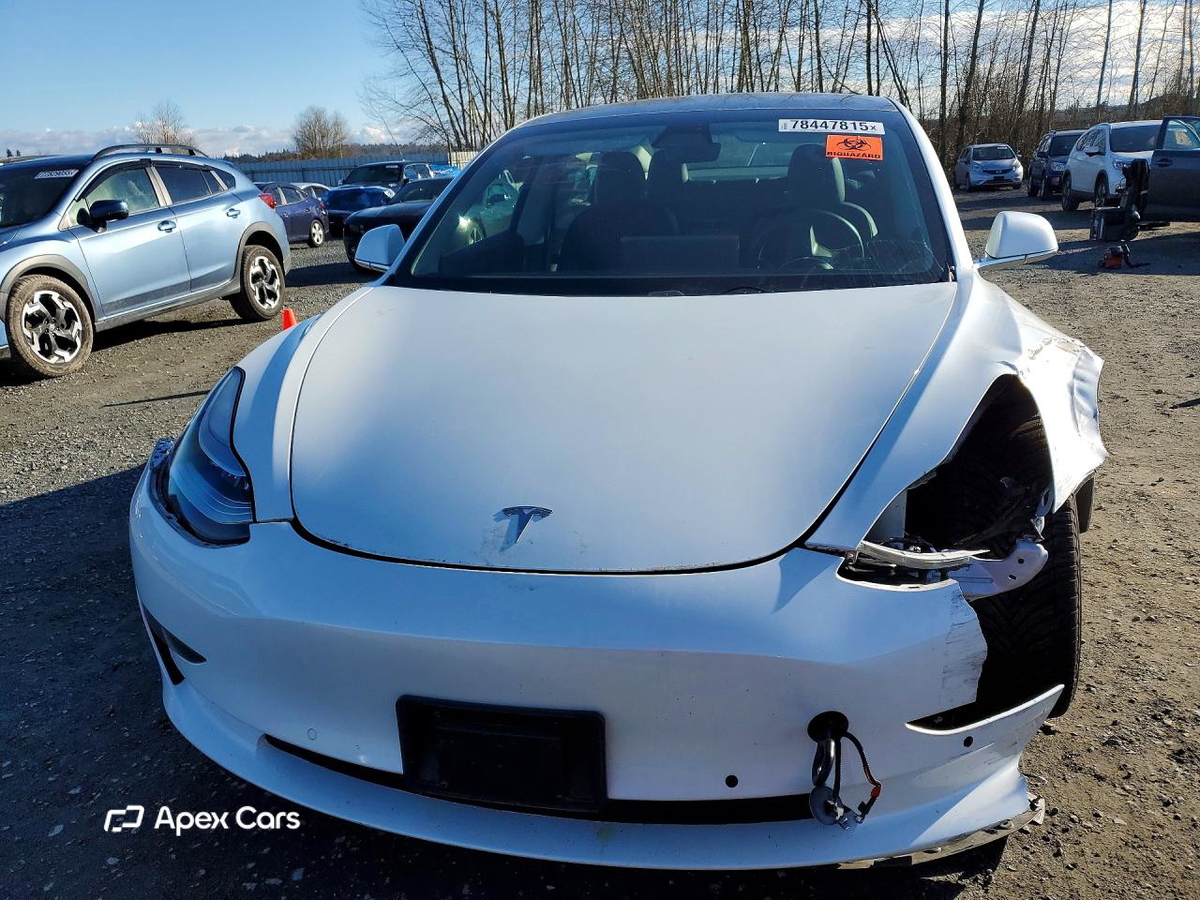 Tesla Model 3 2019