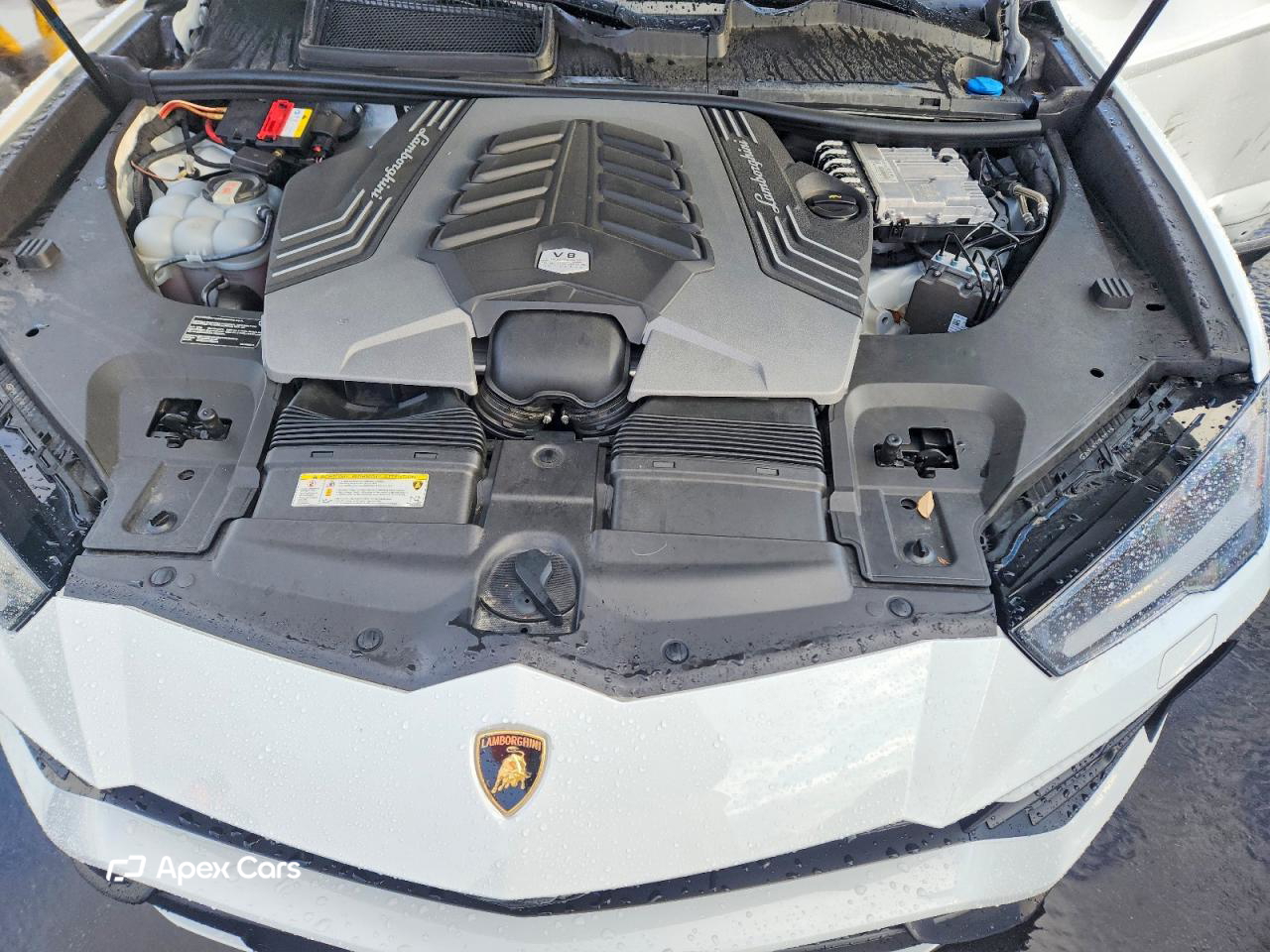 Lamborghini Urus 2021