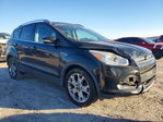 Ford Escape 2016
