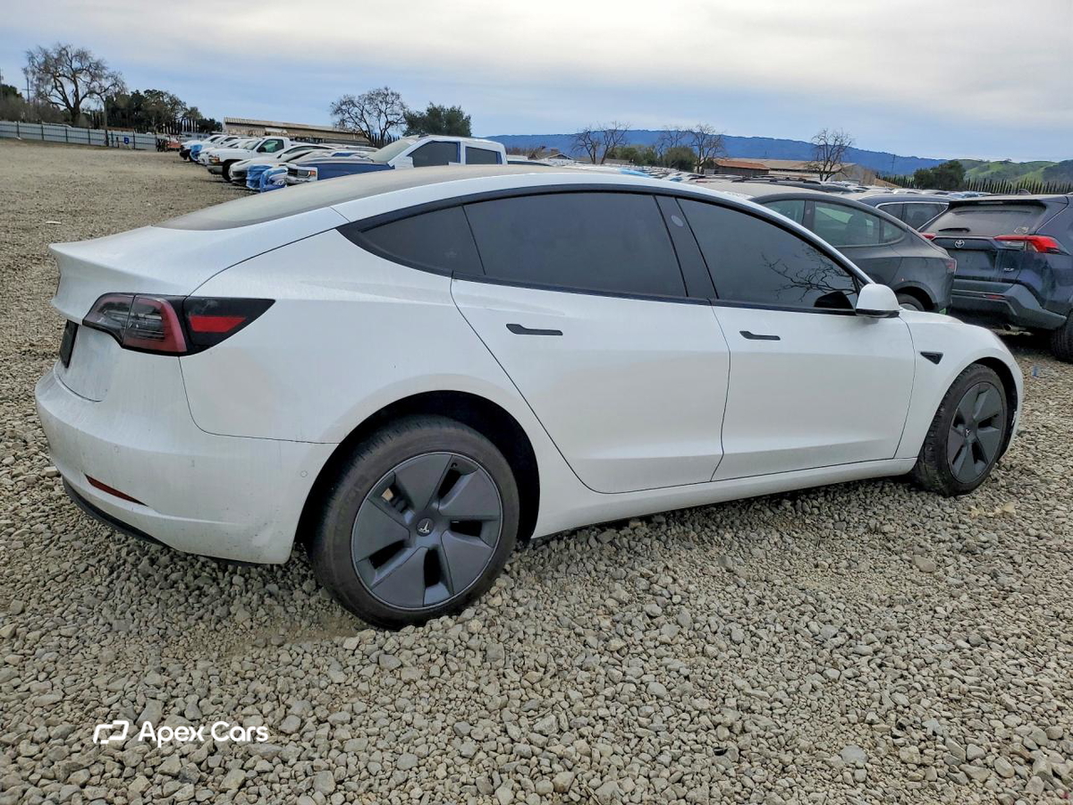 Tesla Model 3 2021