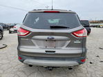 Ford Escape 2013