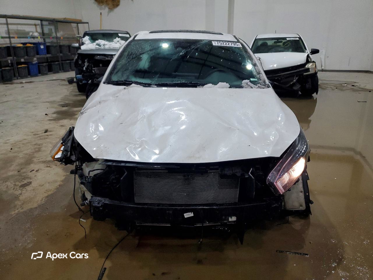 Kia Forte 2024