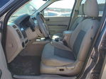 Ford Escape 2008