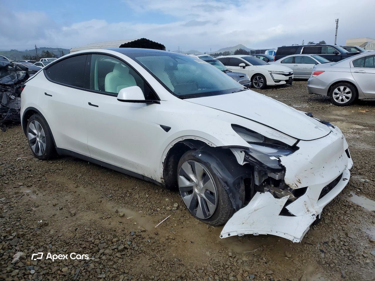 Tesla Model Y 2024