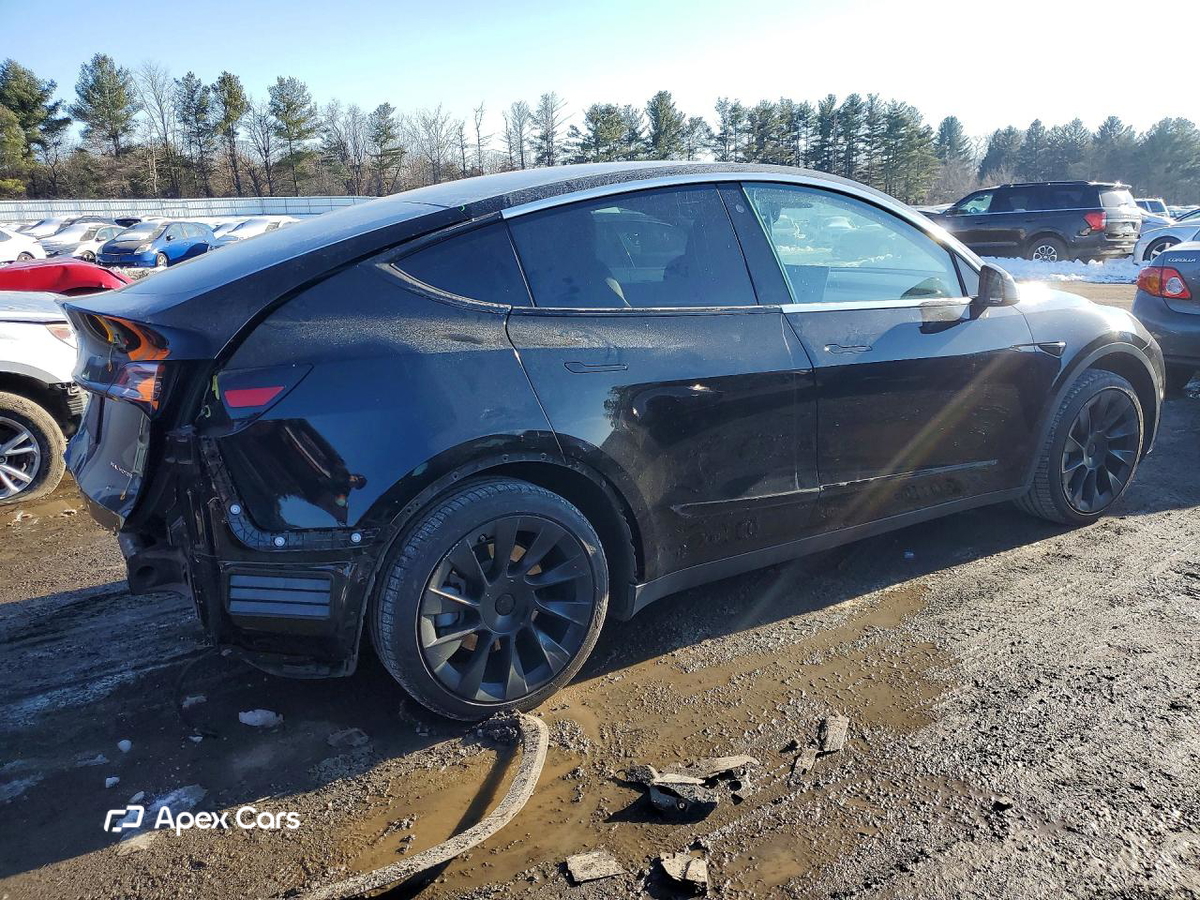 Tesla Model Y 2020