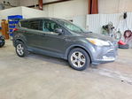 Ford Escape 2016