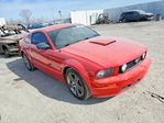 Ford Mustang 2008