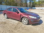 Honda Accord 2010