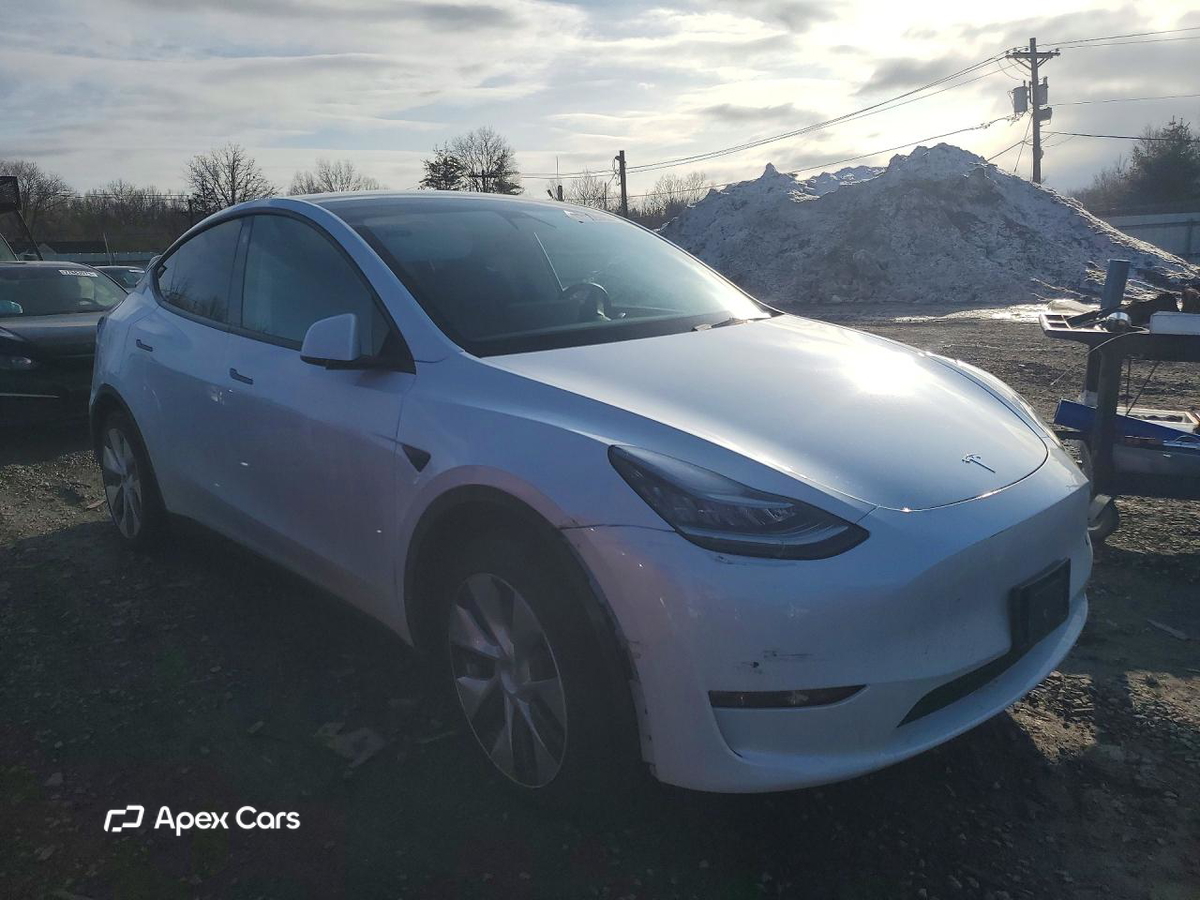 Tesla Model Y 2021