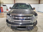 Ford F-150 2013