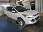 Ford Escape 2016
