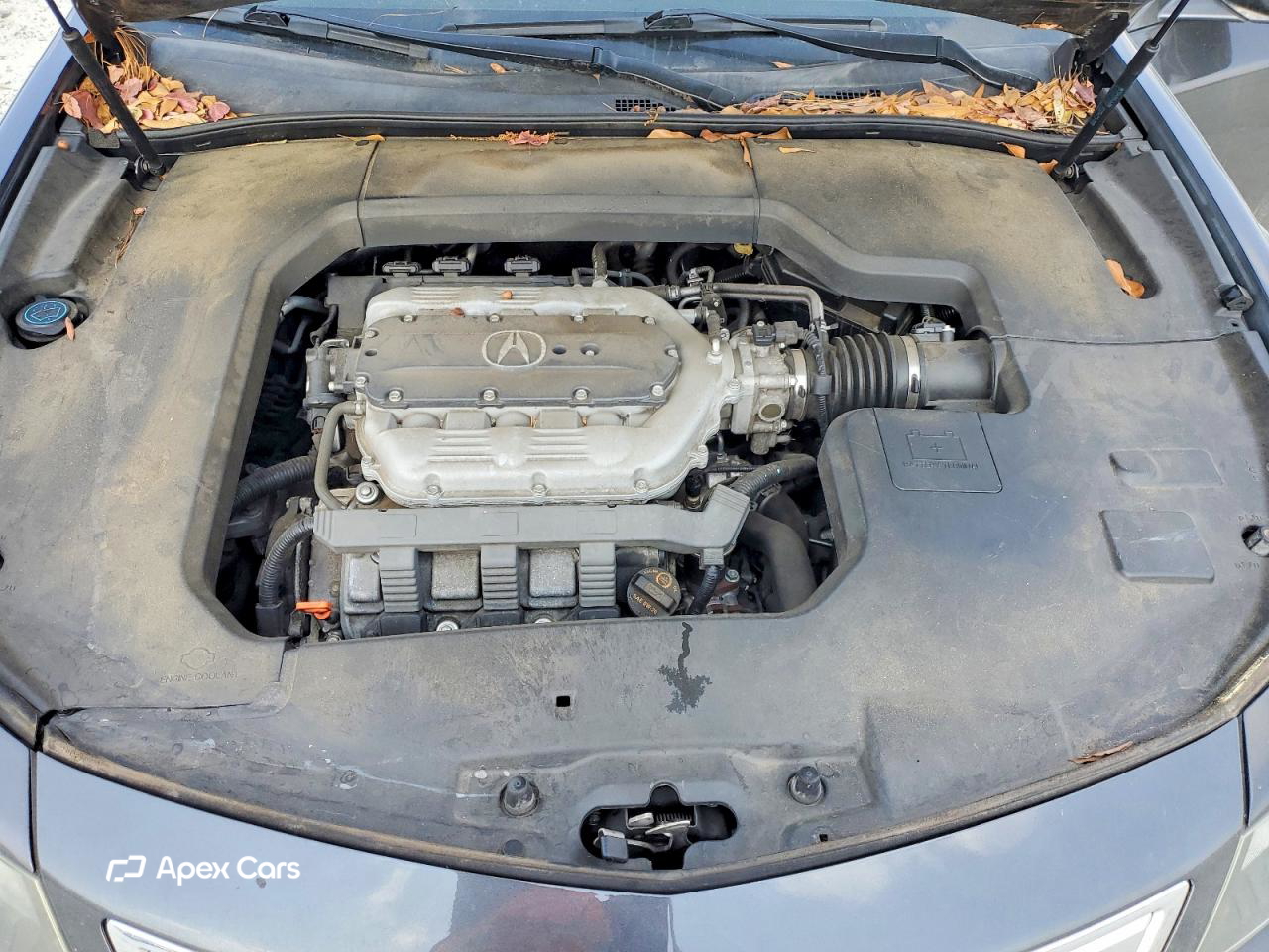 Acura TL 2013