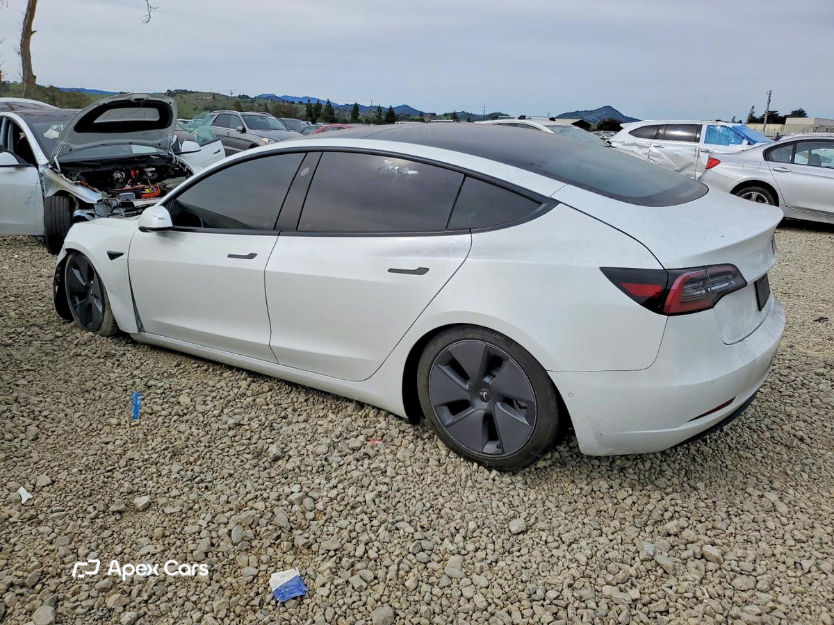 Tesla Model 3 2021