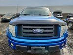Ford F-150 2010