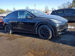 Tesla Model Y 2020