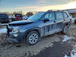Subaru Forester 2025