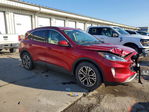 Ford Escape 2020