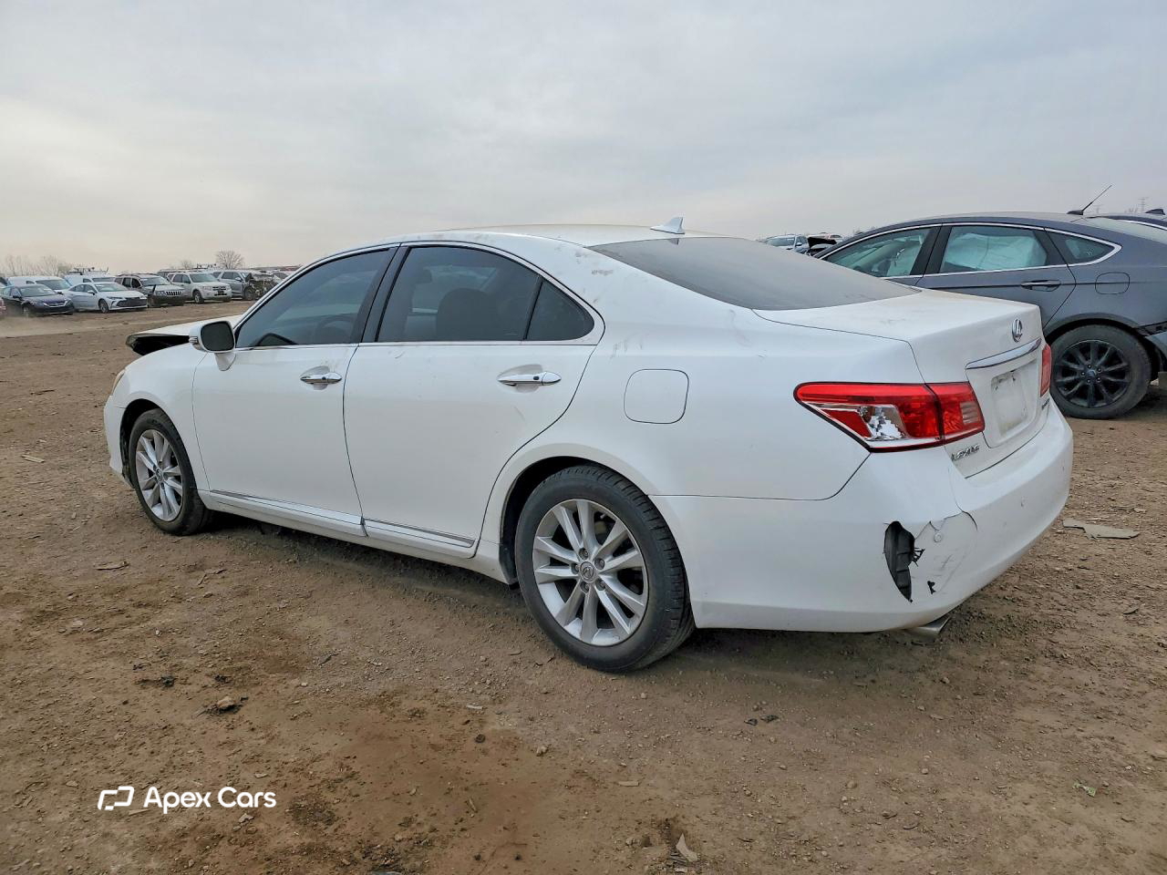 Lexus ES 2010