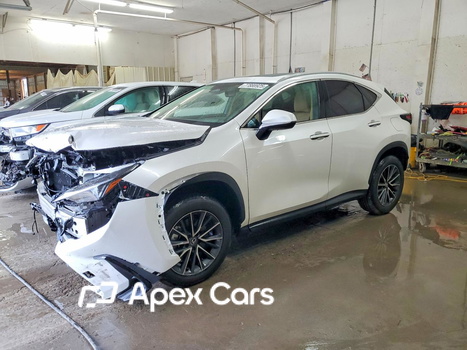 Lexus NX 2025 - Image 1 of 15