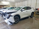 Lexus NX 2025
