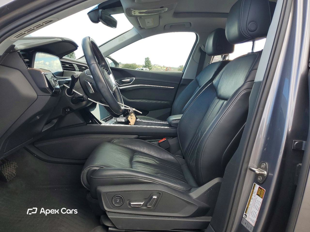 Audi e-tron 2019